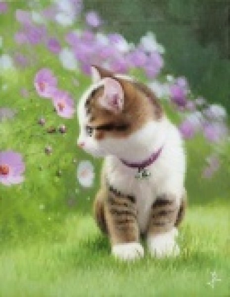 画像1: 長岡　卓　庭の仔猫 (1)